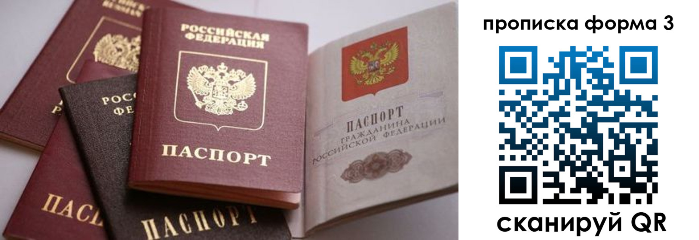 прописка для школы в Воронеже